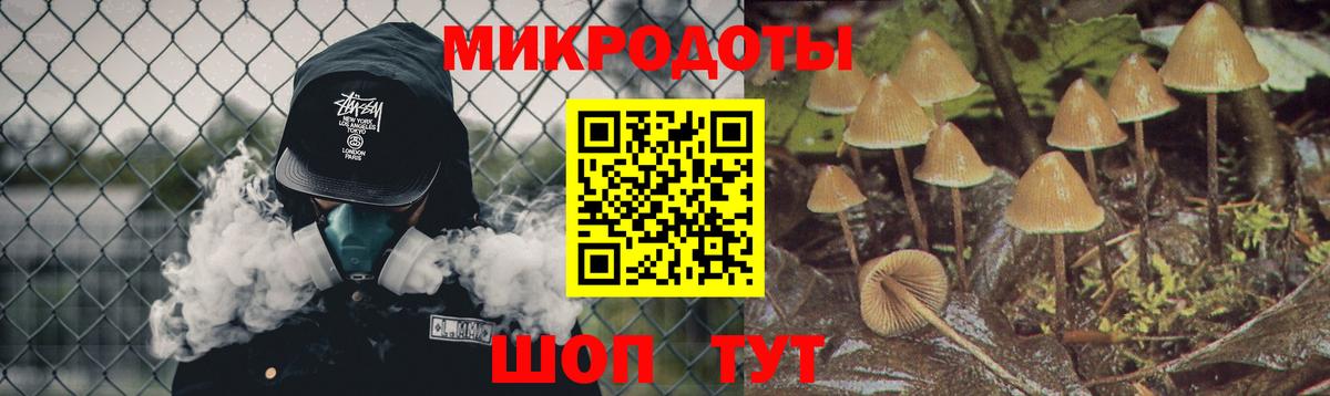 закладки  Галлюциногенные грибы MAGIC MUSHROOMS  Вход с VPN  Россошь 