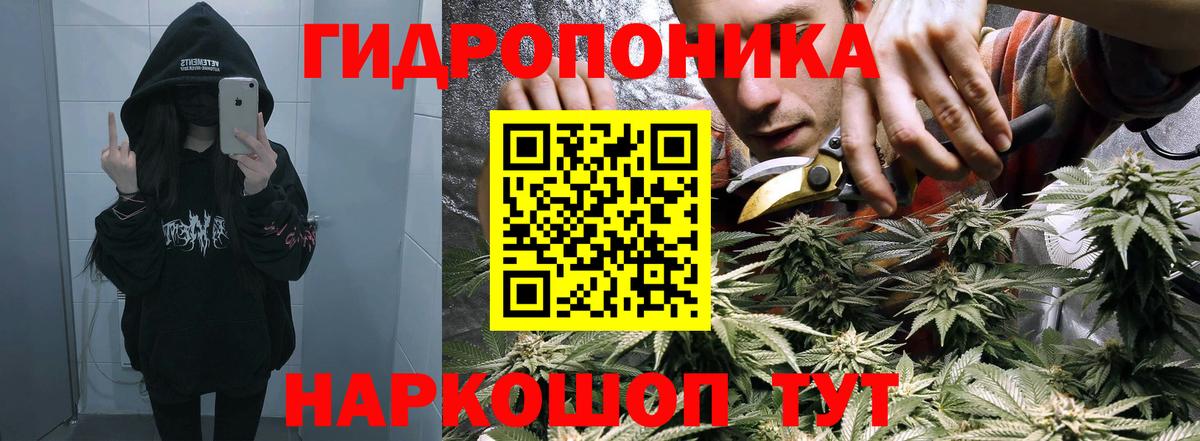 Россошь  Конопля SATIVA & INDICA  Конопля семена  Вход с VPN 